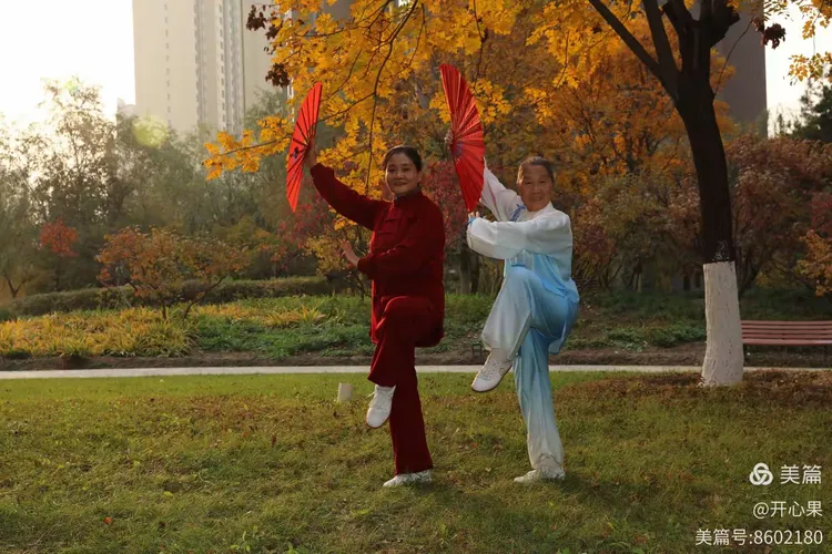我爱太极~~扇(篇)
